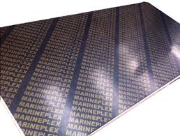 Marine Boards Guaiya