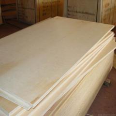 Ceiling Board 7mm