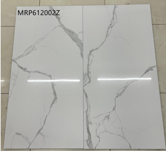 TwyFord (Zambia) MRP 612002 Z Glossy Tiles (60x120)cm 2pcs Per Carton 1.44sqmtr floor coverage